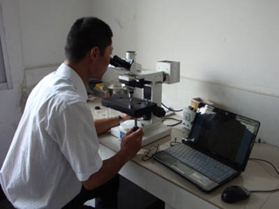 Metallographic microscope